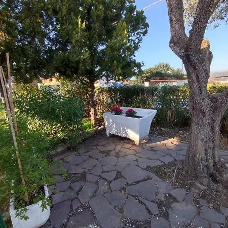House Viareggio