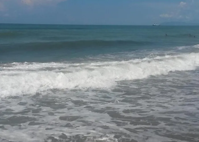 Holiday home House Viareggio